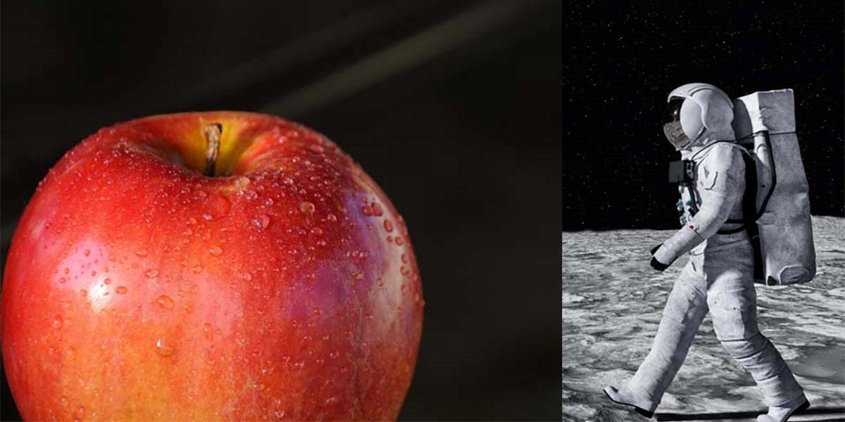 Melo nano, l’Ars e la Nasa vogliono coltivarlo nello spazio